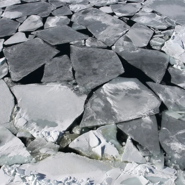 Морського льоду в Антарктиці — стокове фото