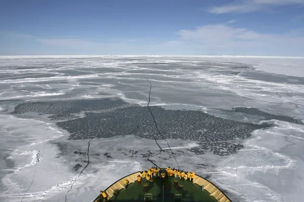남극 대륙의 보기 — 스톡 사진