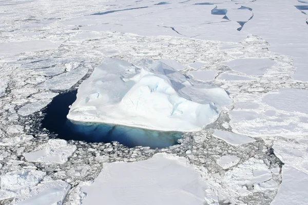 Морской лед в Антарктиде — стоковое фото