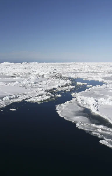 Gelo marinho na Antártida — Fotografia de Stock