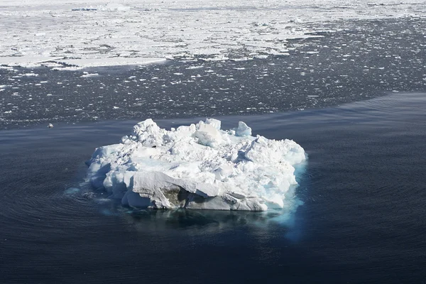 Iceberg — Photo