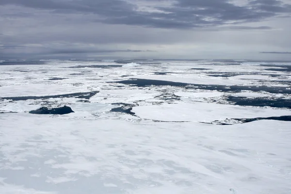 Ghiaccio marino sull'Antartide — Foto Stock