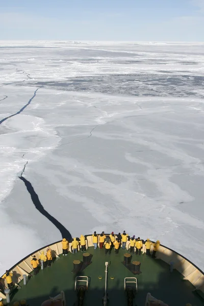 Antarktika'nın görünümü — Stok fotoğraf