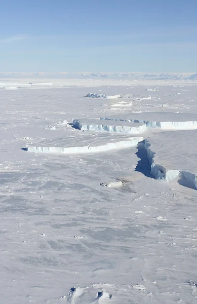 南极海冰 — 图库照片