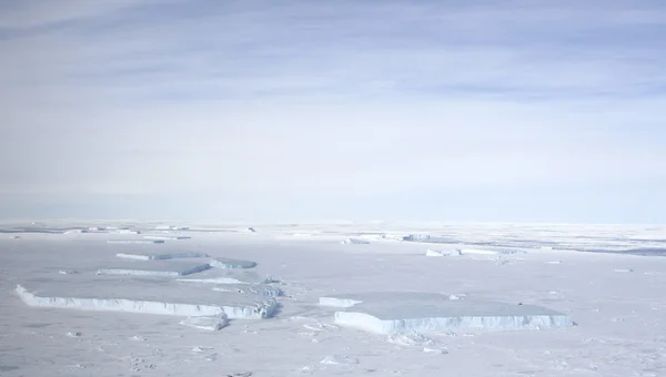 Zee-ijs op antarctica Stockfoto