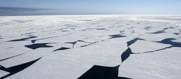 Sea ice on Antarctica — Stock Photo, Image