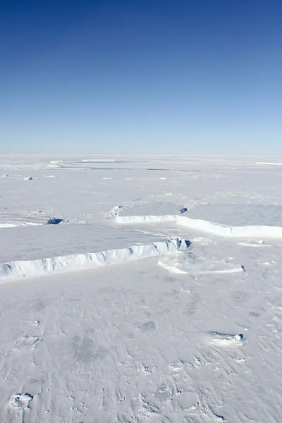 Sjøis på Antarktis stockbilde