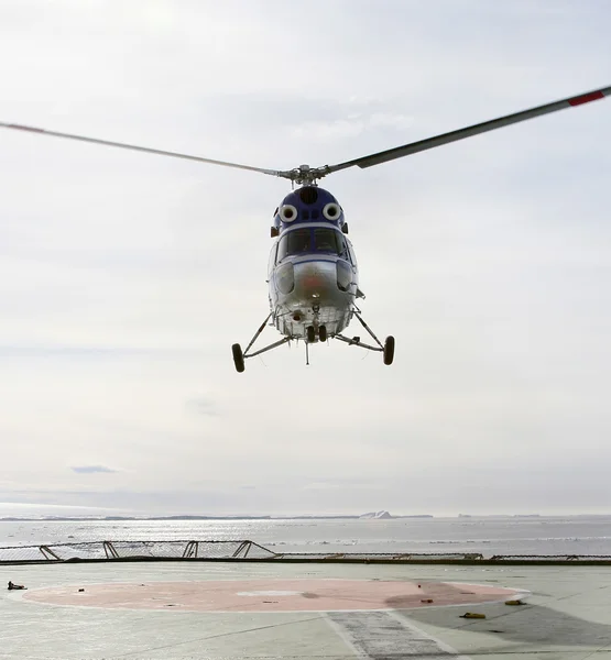 直升机降落在破冰船 — 图库照片