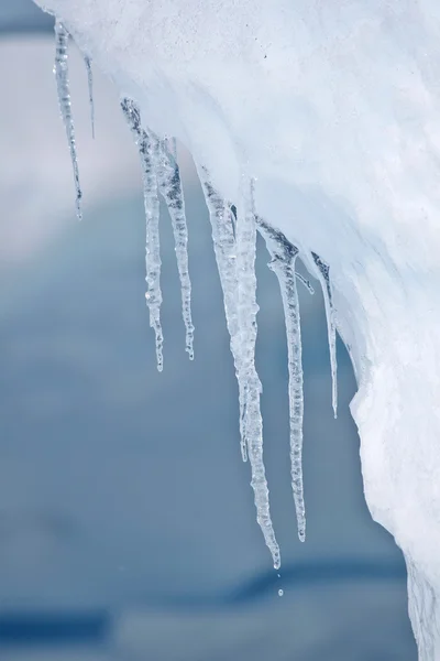 Лёд свисает с края айсберга — стоковое фото