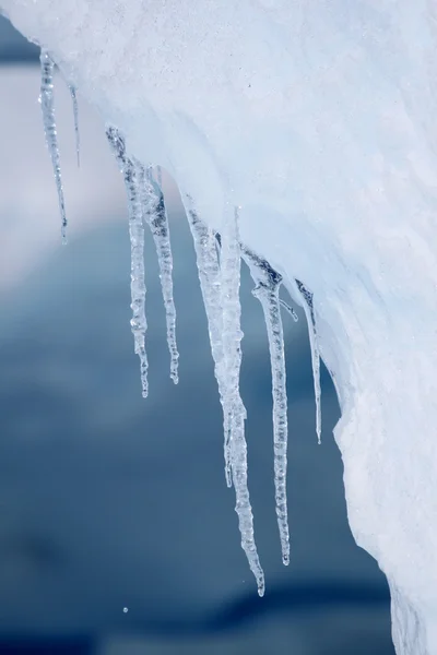 Ledu visící z okraje ledovce — Stock fotografie