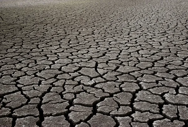 Campo de lama seca — Fotografia de Stock