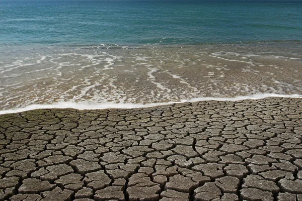 Agua VS desierto —  Fotos de Stock