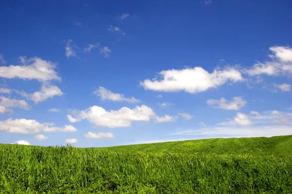 Green Field Paesaggio — Foto Stock
