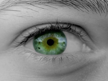 Green eye clipart