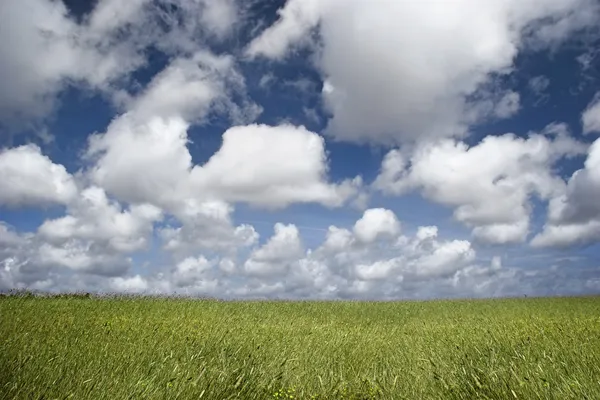 Felhők felett, egy zöld táj — Stock Fotó