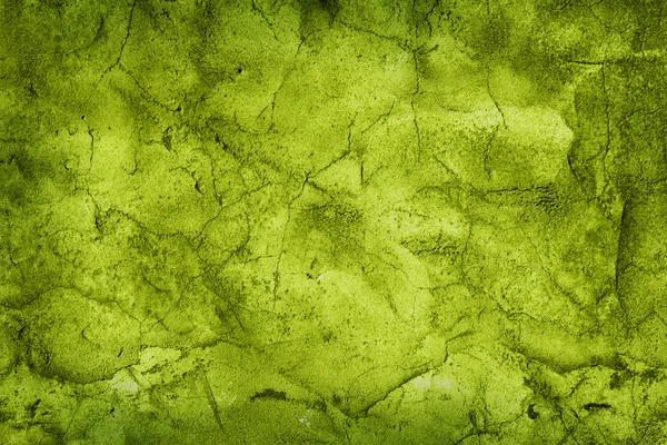 Grüne Wand — Stockfoto