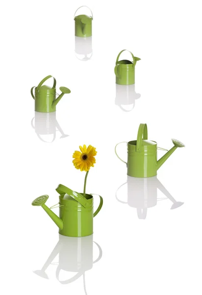Watering cans — Stock Photo, Image