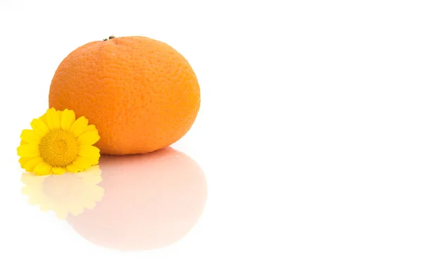 Orange with a flower and reflections — Stock Photo, Image