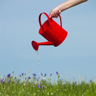 Watering the flowers clipart