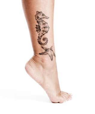 Female leg with a sea horse tattoo, isolated on white clipart