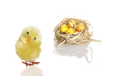 Young Easter chicken toy and a nest with painted eggs clipart