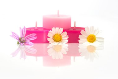 Colorful candles with flowes clipart