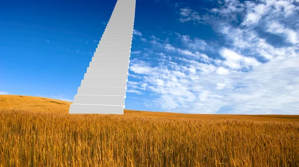 Conceptual Image Stairway Going Sky Beautiful Landscape — Stock Photo, Image