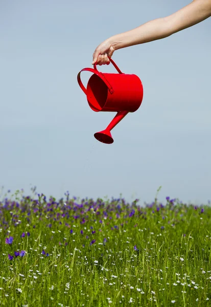 Weibliche Hand Hält Eine Wasserkanne Und Gießt Die Blumen — Stockfoto