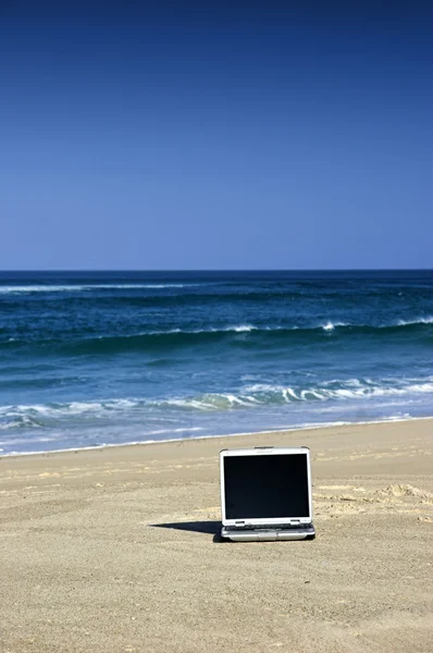 Ноутбук на пляже — стоковое фото