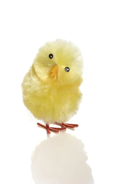 Young chicken — Stock Photo, Image