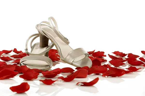 Schöne Weibliche Sandalen Mit Rosenblättern Auf Weißem Grund — Stockfoto