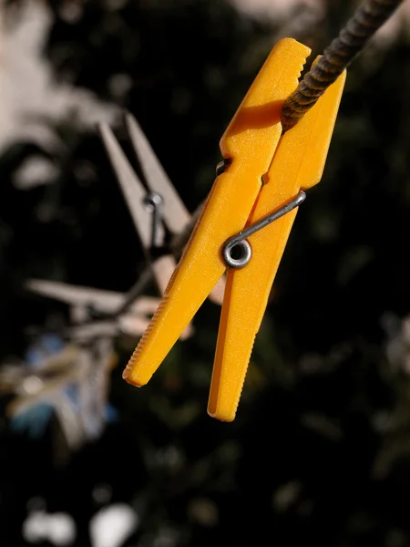 Жовтий Прищіпка Мотузці — стокове фото