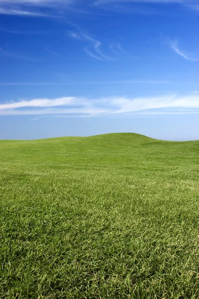 美丽草甸与绿草和蓝蓝的天空 — 图库照片