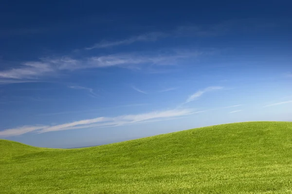 Yeşil Çim Mavi Gökyüzü Güzel Çayır — Stok fotoğraf