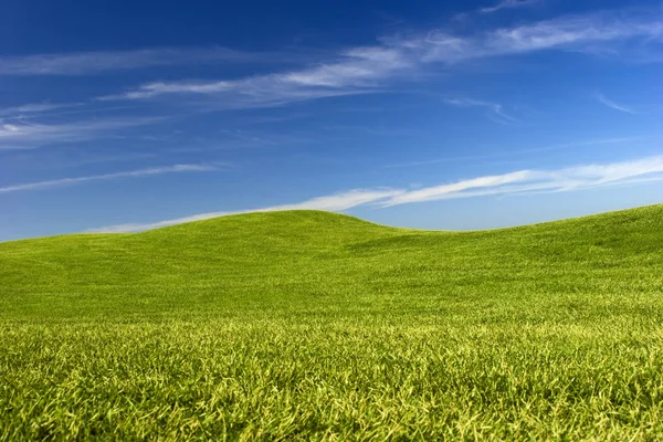 美丽草甸与绿草和蓝蓝的天空 — 图库照片