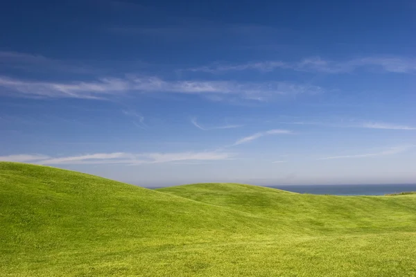 Όμορφο Λιβάδι Πράσινο Γρασίδι Και Γαλάζιο Του Ουρανού — Φωτογραφία Αρχείου