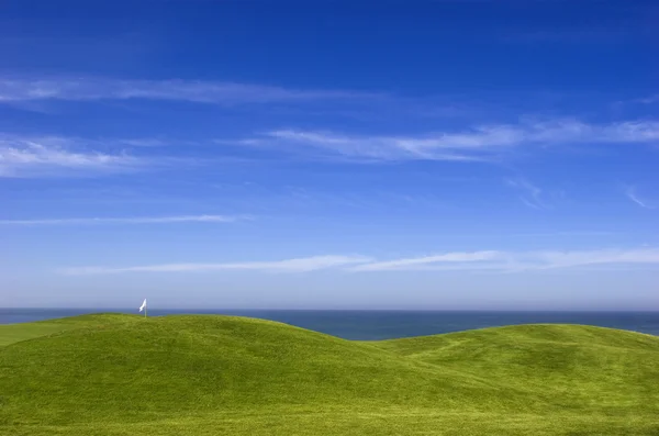 Piękna Łąka Zieloną Trawą Błękitne Niebo — Zdjęcie stockowe
