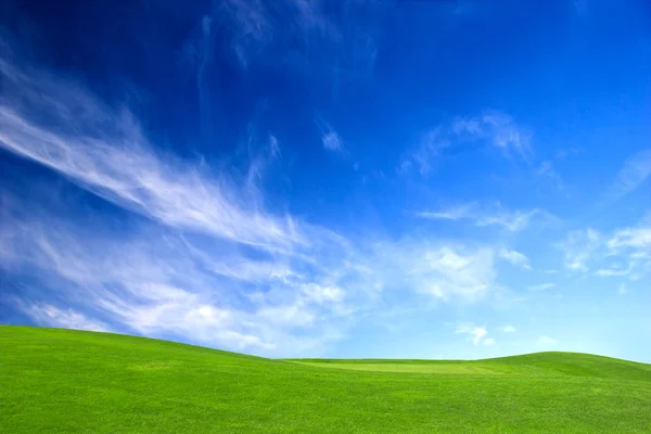 Krásná Louka Trávou Modrá Obloha — Stock fotografie
