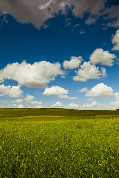 Piękny Zielony Łąka Wielkim Pochmurnego Nieba — Zdjęcie stockowe