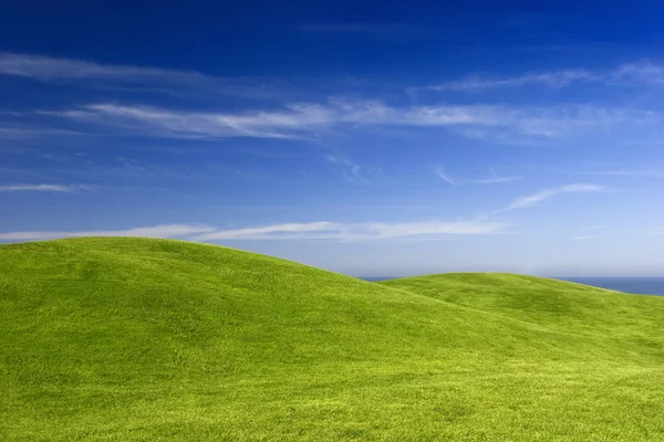 緑の牧草地 ロイヤリティフリーのストック写真