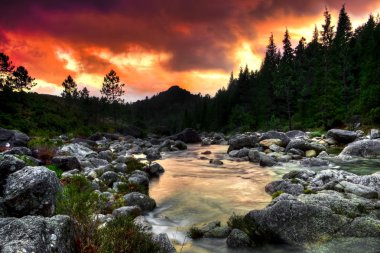 Beautiful view of a mountain river at sunset clipart