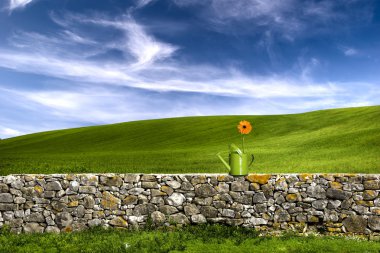 Green watering can over a stone wall on a beautiful green meadow clipart