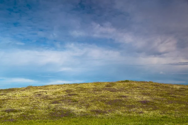 Beautiful Green Meadow Great Cloudy Sky — Stock Photo, Image