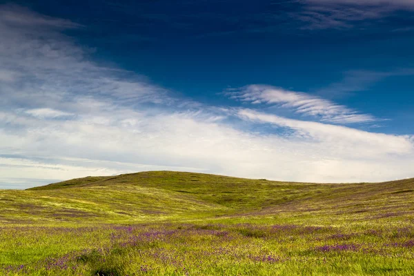 Beautiful Green Meadow Great Cloudy Sky — Stock Photo, Image