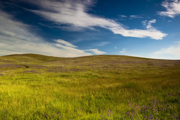 Schöne Grüne Wiese Mit Einem Großen Bewölkten Himmel — Stockfoto