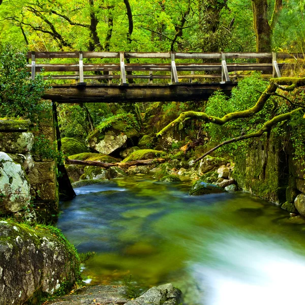 Beautiful river — Stock Photo, Image