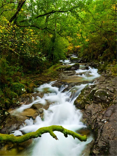 Krásná řeka — Stock fotografie