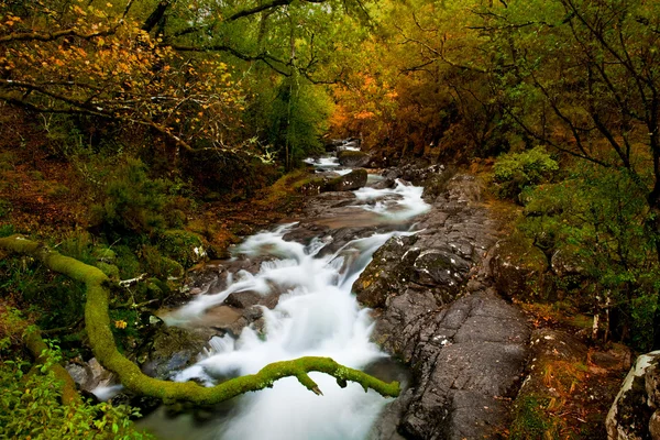 Krásná řeka — Stock fotografie