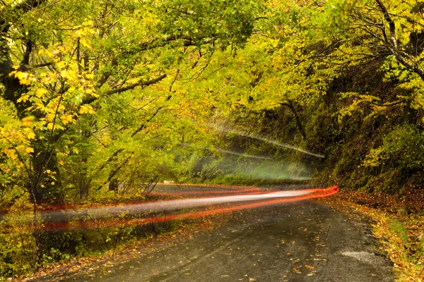 Efeitos Luz Carro Movimento Borrão Estrada Com Árvores Coloridas — Fotografia de Stock
