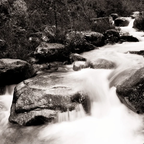 Όμορφη Ποταμός Που Ρέει Από Τις Πέτρες — Φωτογραφία Αρχείου